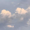 sun_dogs